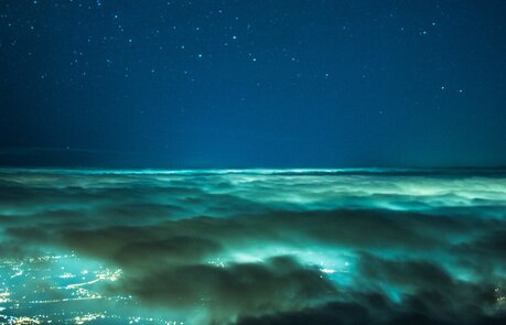 Concorso #ILOVEFILTERS: AND THE WINNER IS...